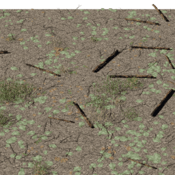 Forest debris Deciduous A spring summer autumn