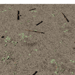 Forest debris Mixed B spring summer autumn