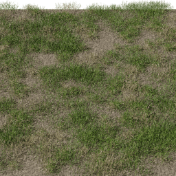 Grass Basic A spring summer