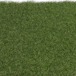 Grass Cut A spring summer