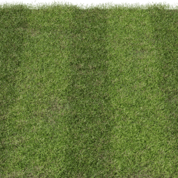 Grass Cut striped A spring summer