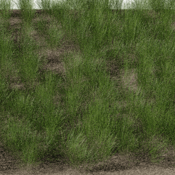 Grass Decorative B spring summer