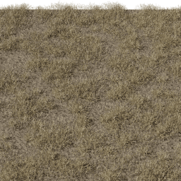 Grass Dry A summer autumn