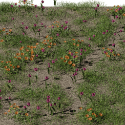 Grass Flowers decorative B spring summer