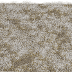 Grass Frosted A autumn winter