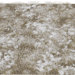 Grass Snow B winter