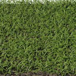 Grass Strands Bent B spring summer