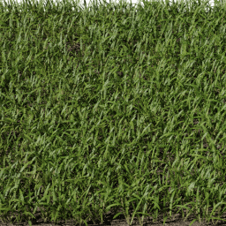 Grass Strands Mixed B spring summer