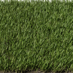 Grass Strands Straight C spring summer