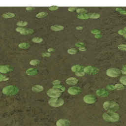 Lilypads Nymphaea A spring summer