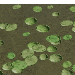 Lilypads Victoria B spring summer