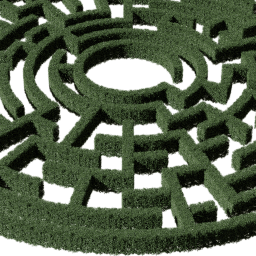 Hedge circular big A summer