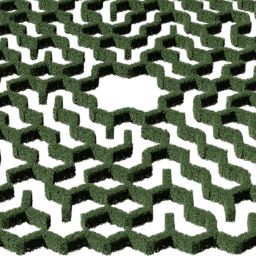 Hedge hexagonal big A summer