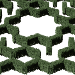 Hedge hexagonal small A summer