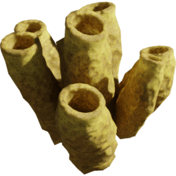 Aplysina fistularis C spring summer autumn winter