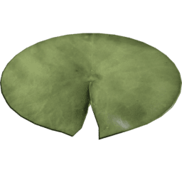 Nymphaea alba A spring summer