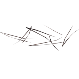 Pinus ponderosa B spring summer autumn