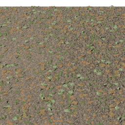 Misc Fallen Leaves B autumn