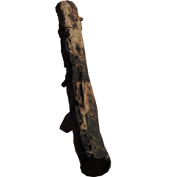 Picea abies B spring summer autumn