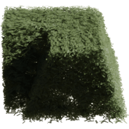 Picea rubens G spring summer autumn