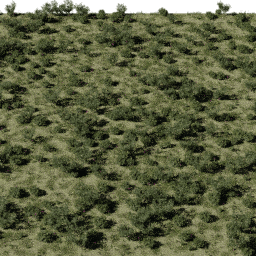 Shrublands NA mix A spring summer