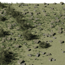 Shrublands NA mix G spring summer