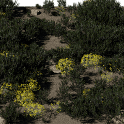 Shrubs Steppe B spring summer