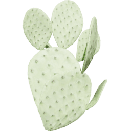 Opuntia humifusa B summer