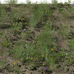 Weeds Pasture B spring summer