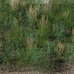 Weeds Riverbank B spring summer