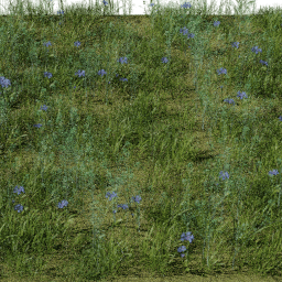 Weeds Swamp B spring summer