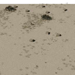 Desert AF B spring summer autumn
