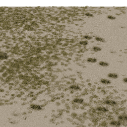 Desert AS C summer