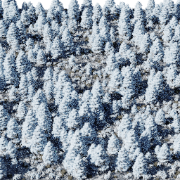 Forest EU con B winter