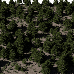Forest EU con C spring summer autumn