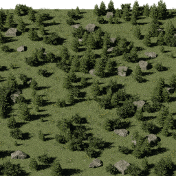 Forest EU con glade A spring summer