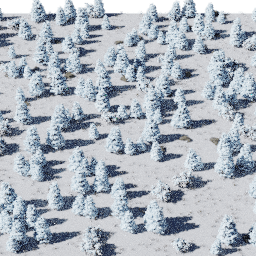 Forest EU con glade A winter