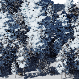 Forest NA con A winter