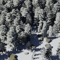 Forest NA con G winter