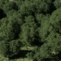Forest EU dec A spring summer