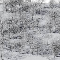 Forest EU dec A winter
