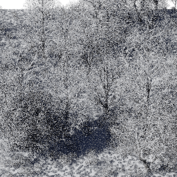 Forest EU dec E winter