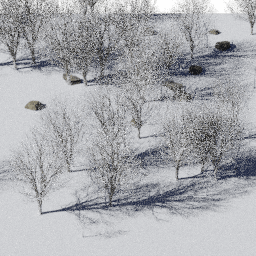 Forest NA dec J winter