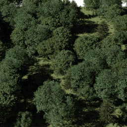 Forest EU mix A spring summer autumn
