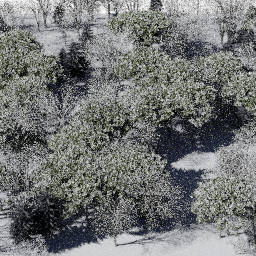 Forest EU mix A winter