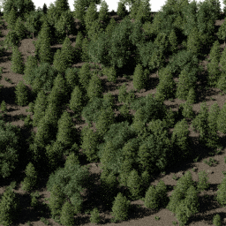 Forest EU mix B spring summer autumn