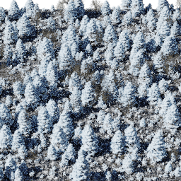 Forest EU mix B winter