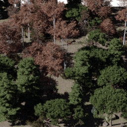 Forest NA mix G autumn
