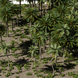 Tropical AF A spring summer autumn