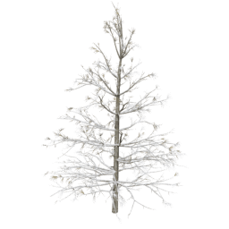 Larix decidua B winter